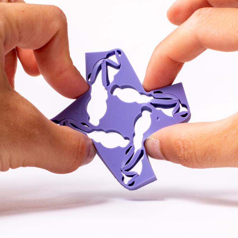 profile picture of paul ducarme