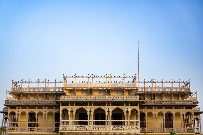 Equidistant pigeons on the city palace of Jaipur. Jaipur, India, 2025.