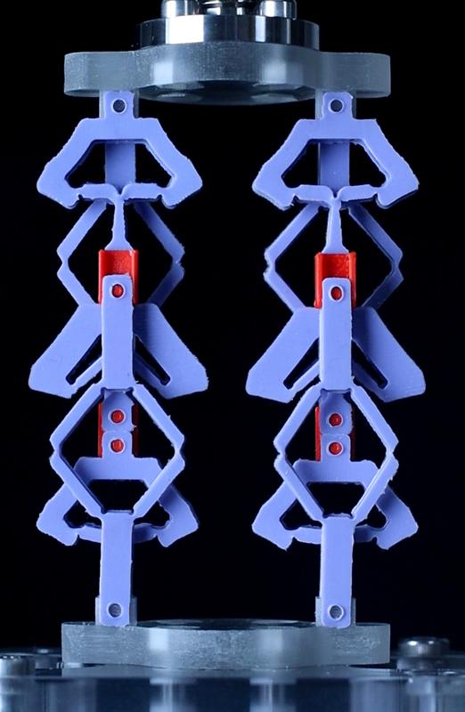 Two countersnapping elements in parallel (state 00).