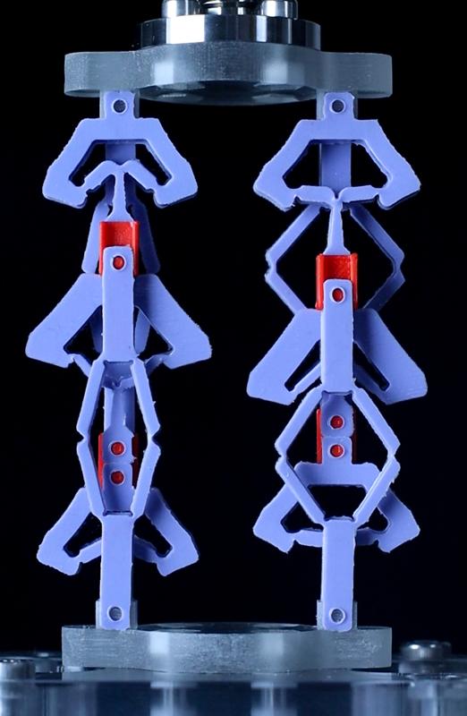 Two countersnapping elements in parallel (state 10).
