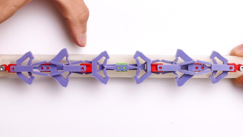 A pre-stretched chain of countersnapping elements that has just switch together (state 11).