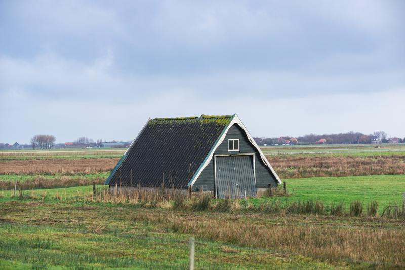 Geometric shelter. Texel, Netherlands, 2025.